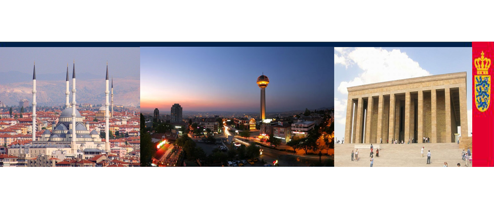 Praktikantstillinger